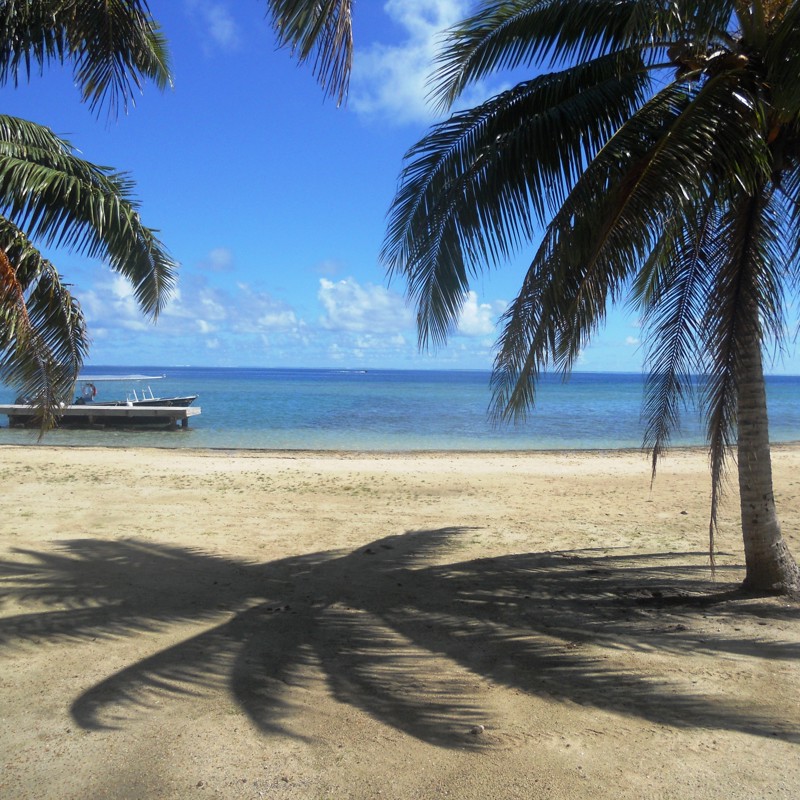 Raiatea, palmer