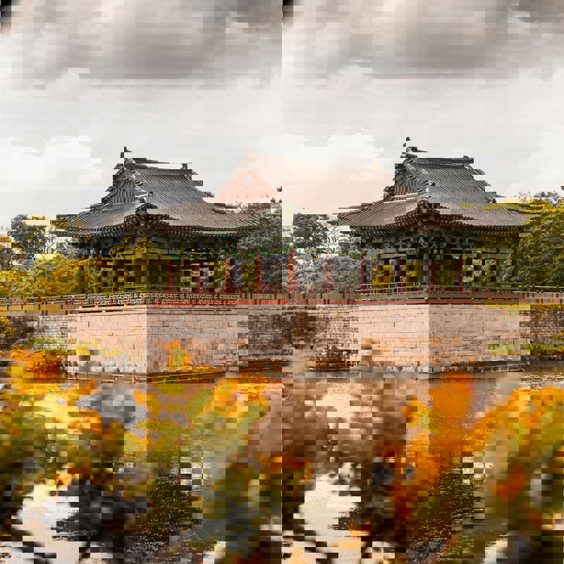 domenico-gentile-P1YOfQupYzA-unsplash