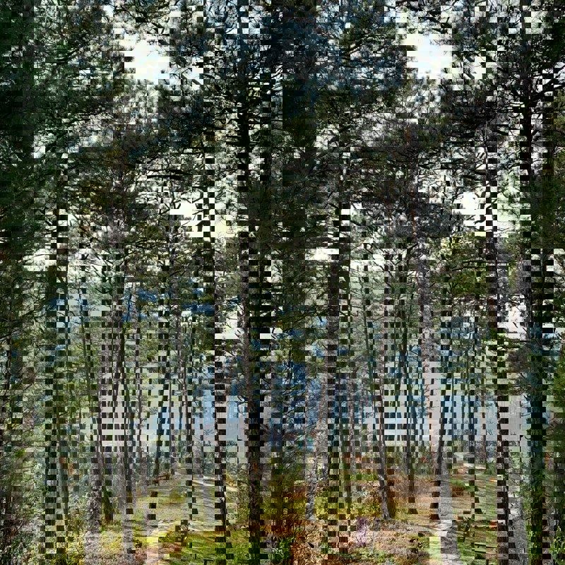 di-m-phan-USwTMfDTrtQ-unsplash