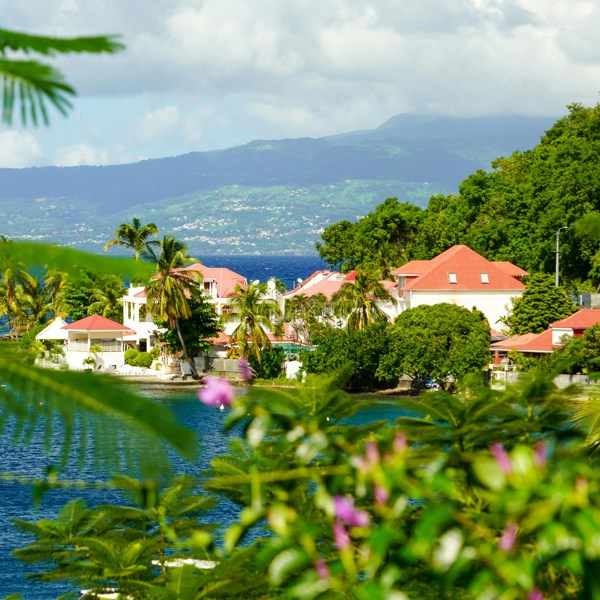 Smuk grøn udsigt i Guadeloupe