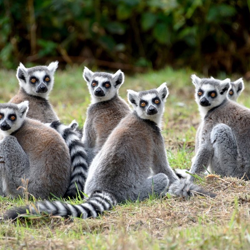 shutterstock_316009337