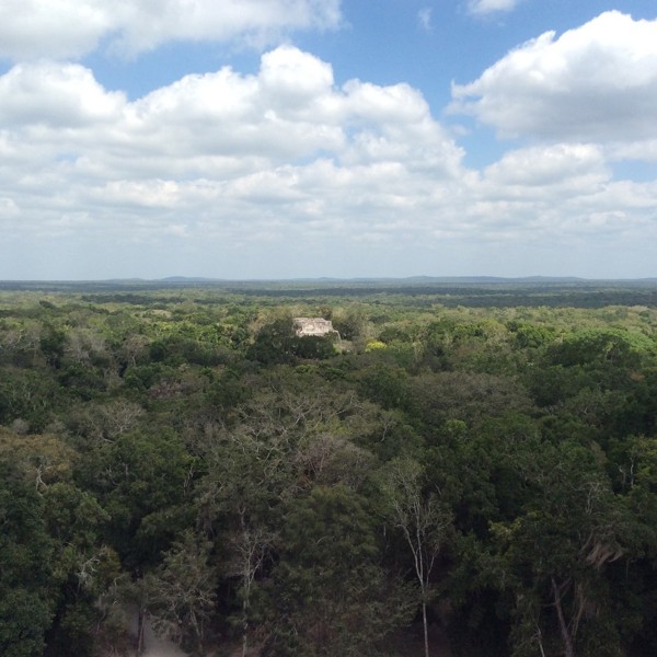 Calakmul set oppefra