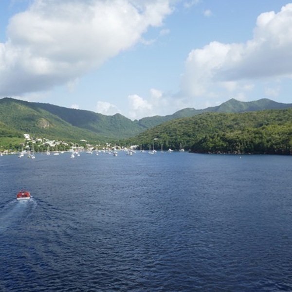 Rislende bæk i frodigt landskab på Martinique