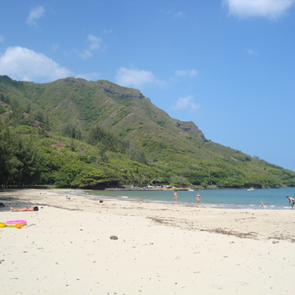 Grøntklædte bjerge ud til havet på Oahu