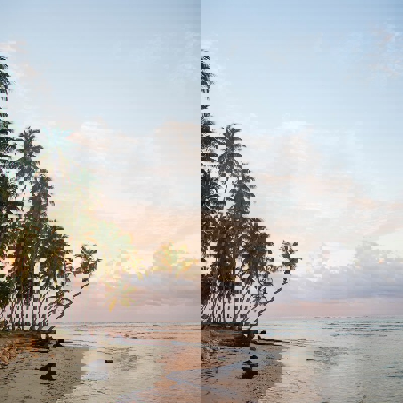 robin-canfield-n_OCaVll4io-unsplash