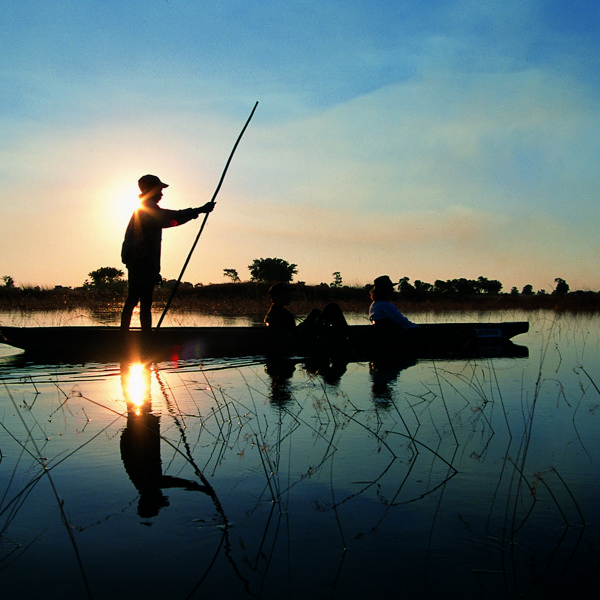 Afrika, safari, Okavango deltaet