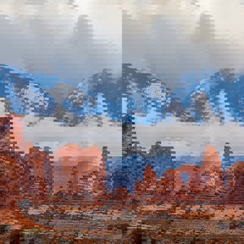 andrey-grinkevich-gNXdKOvyou8-unsplash