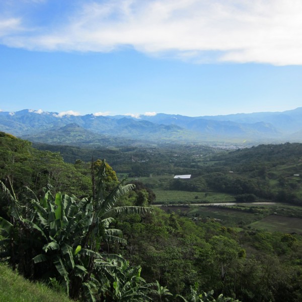 udsigt til landskabet