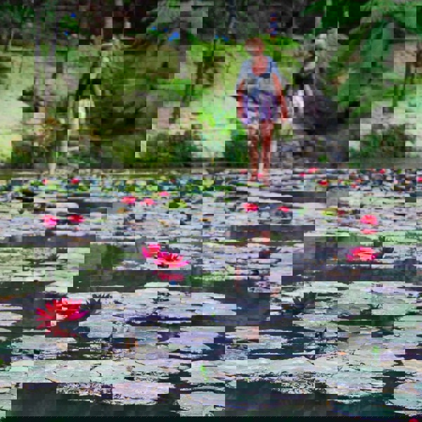 Hotel Azoerne, Terra Nostra Garden Hotel