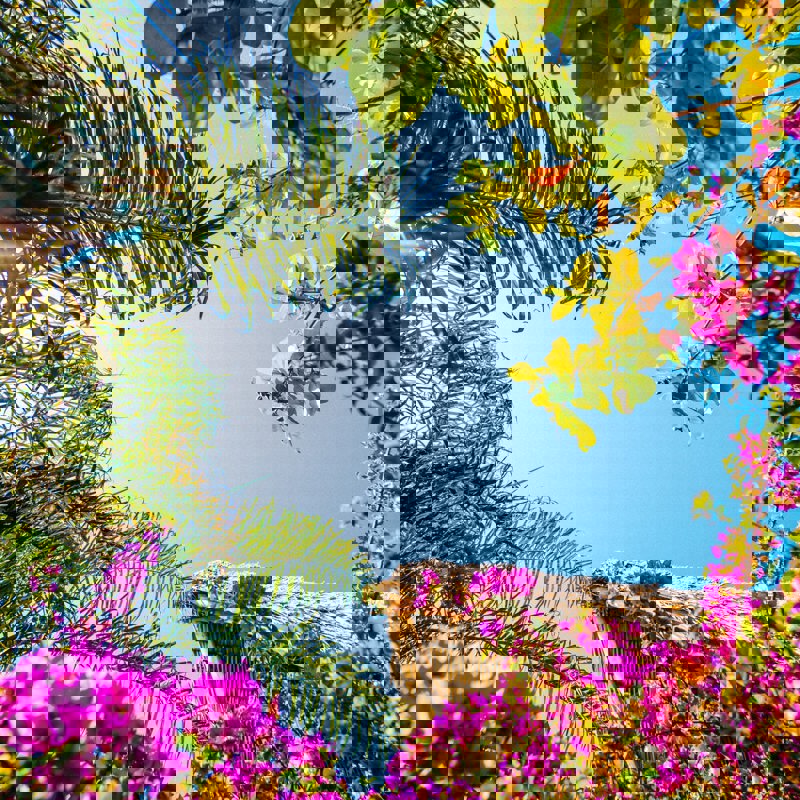 erick-chevez-HQJhGTCylp0-unsplash