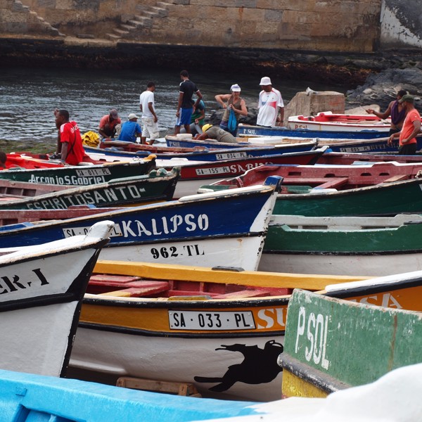 Flotte farverige fiskkerbåde på Santo Antâo, Kap Verde
