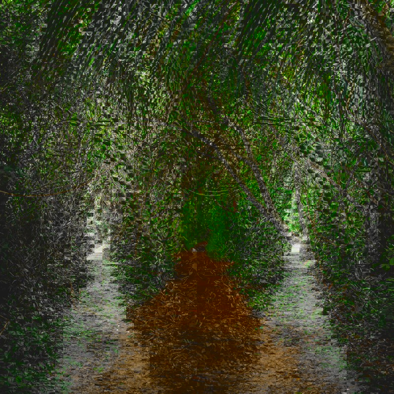 etienne-delorieux-K5uuedhbpIc-unsplash