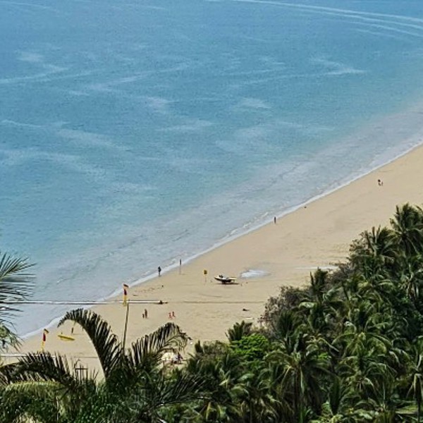 Rejser til Port Douglas