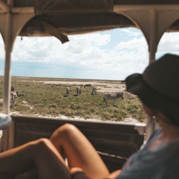 Etosha Safari Camp - Game drive