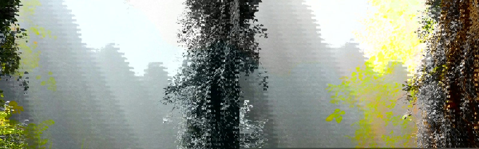 just-filip-Mt1iIhkBk1I-unsplash