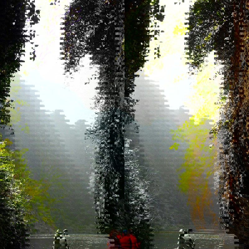 just-filip-Mt1iIhkBk1I-unsplash