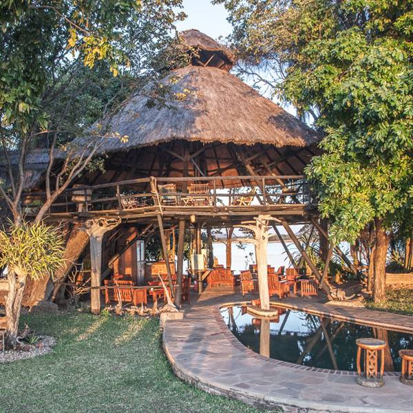 Musango Safari Camp i Zimbabwe