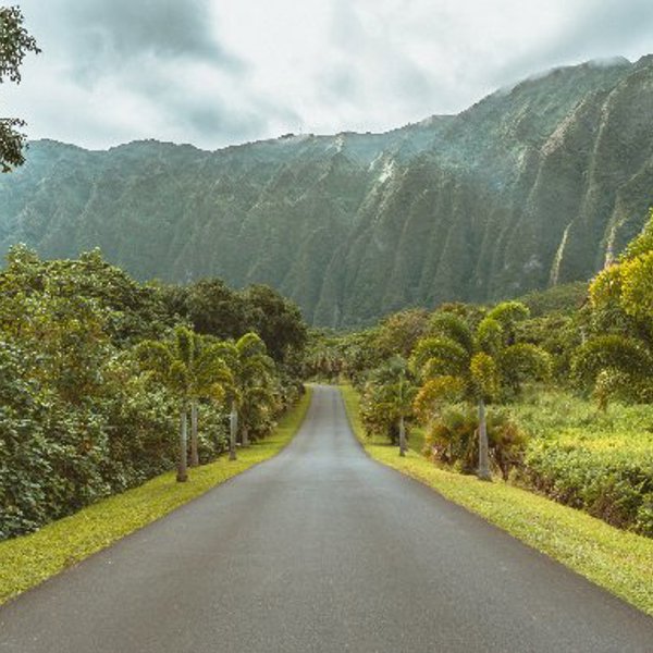 Vej og landskab på Hawaii