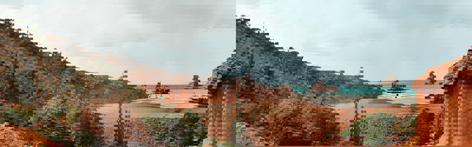 morgan-newnham-Bz8ESHzvSXA-unsplash