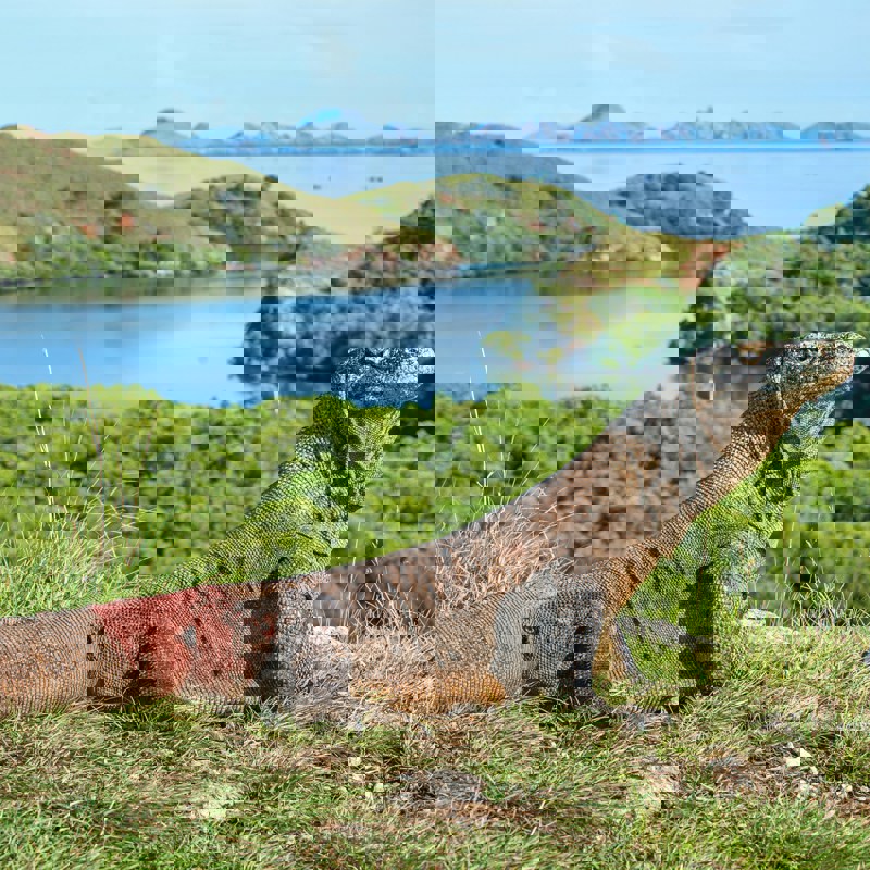 getty-images-1u2Dtkk2TBU-unsplash