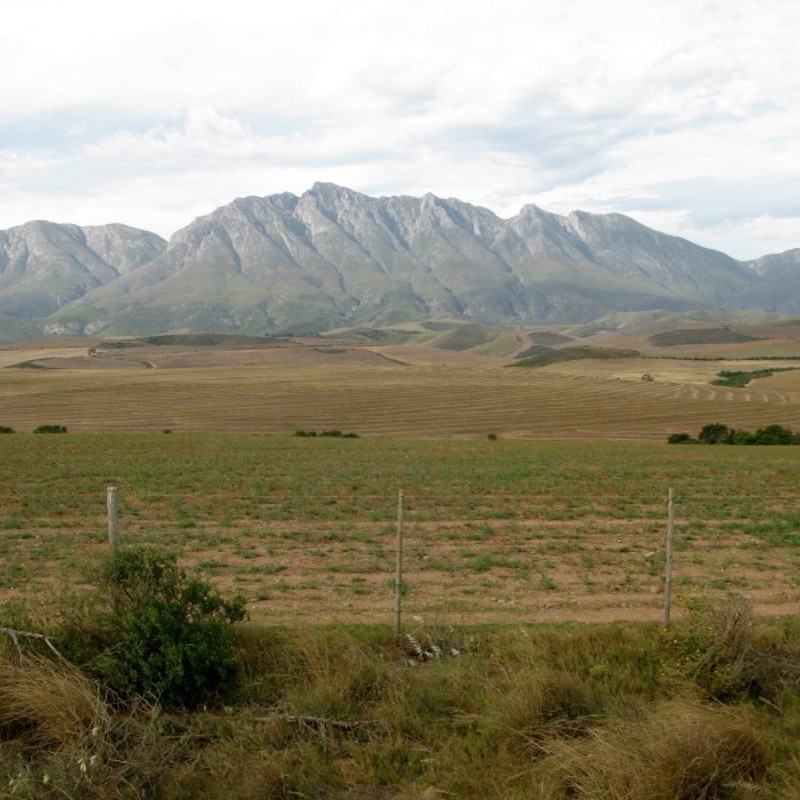 Swellendam - med bjerge i baggrunden, Sydafrika