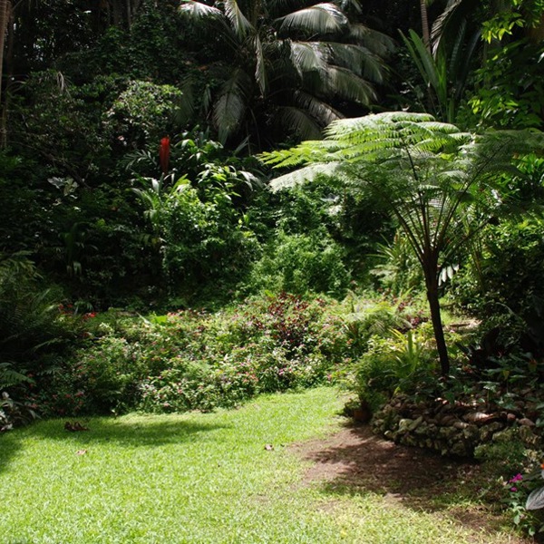 Hunts fortryllede have