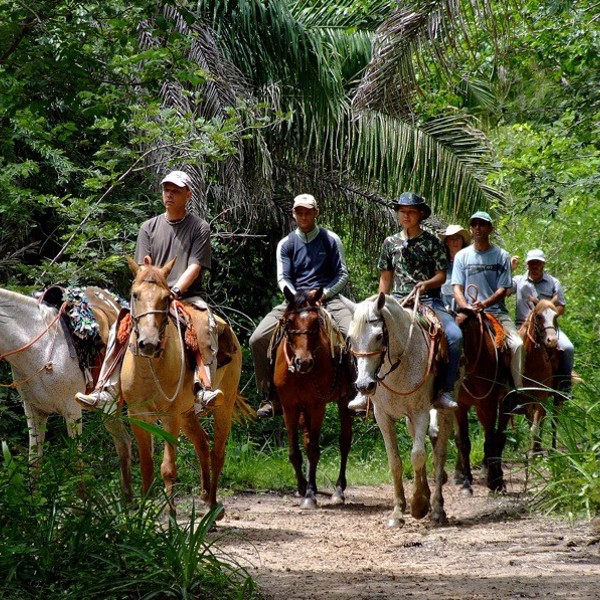 Oplev Pantanal fra hesteryg, Brasilien