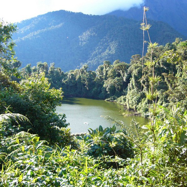 Ecuador - Amazon - Coca