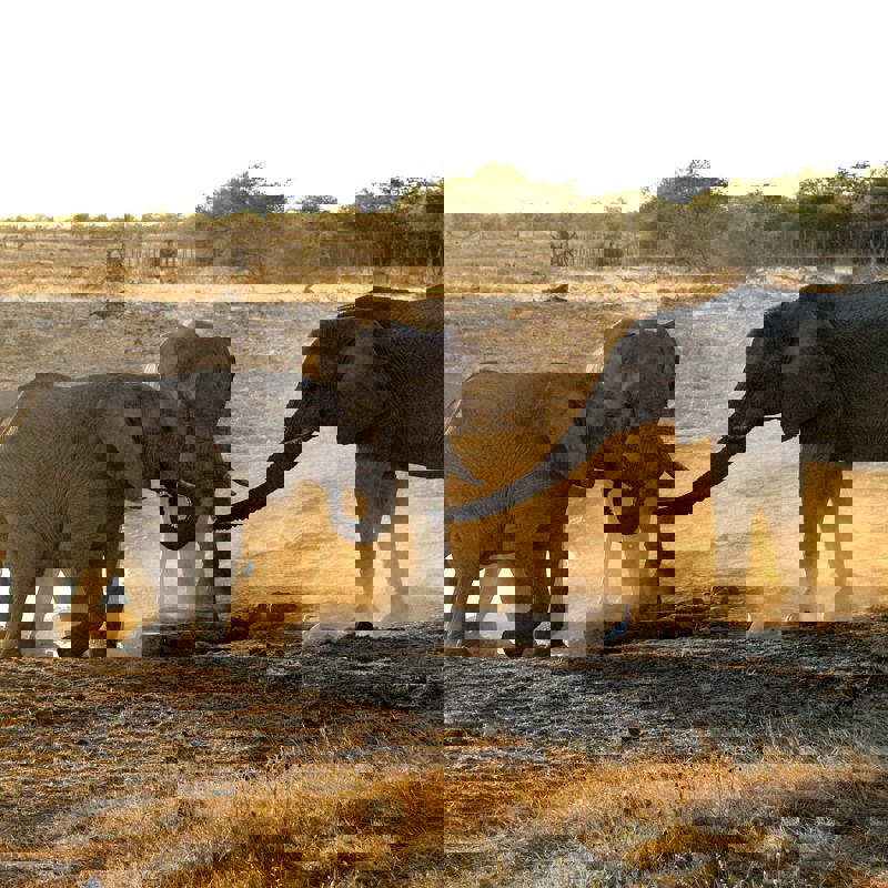 getty-images-zLKyFJ70YoM-unsplash