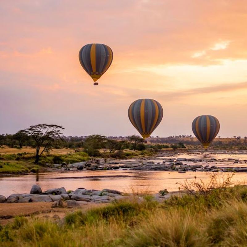 Serengeti unsplash 1