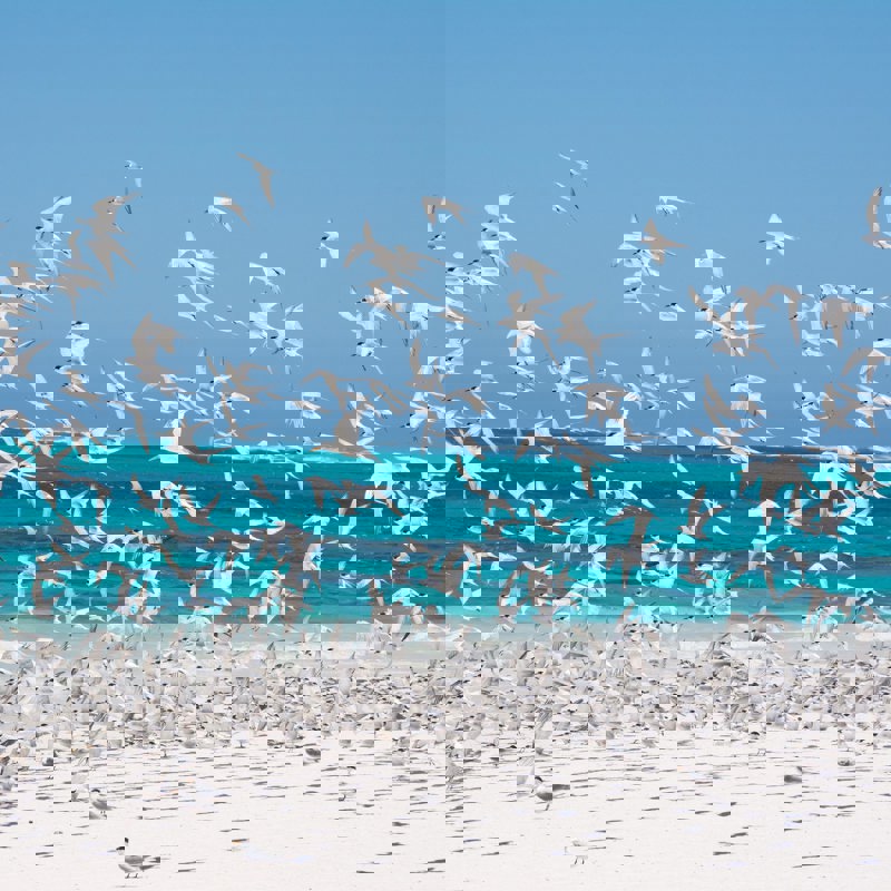 fabiana-rizzi-8CfFq4oKcE4-unsplash