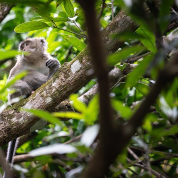 Tamarina golf course, Mauritius