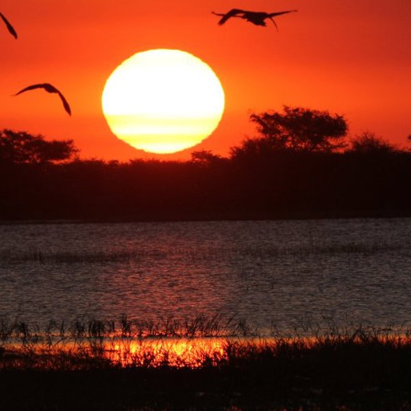 Solnedgang i Chobe National Park