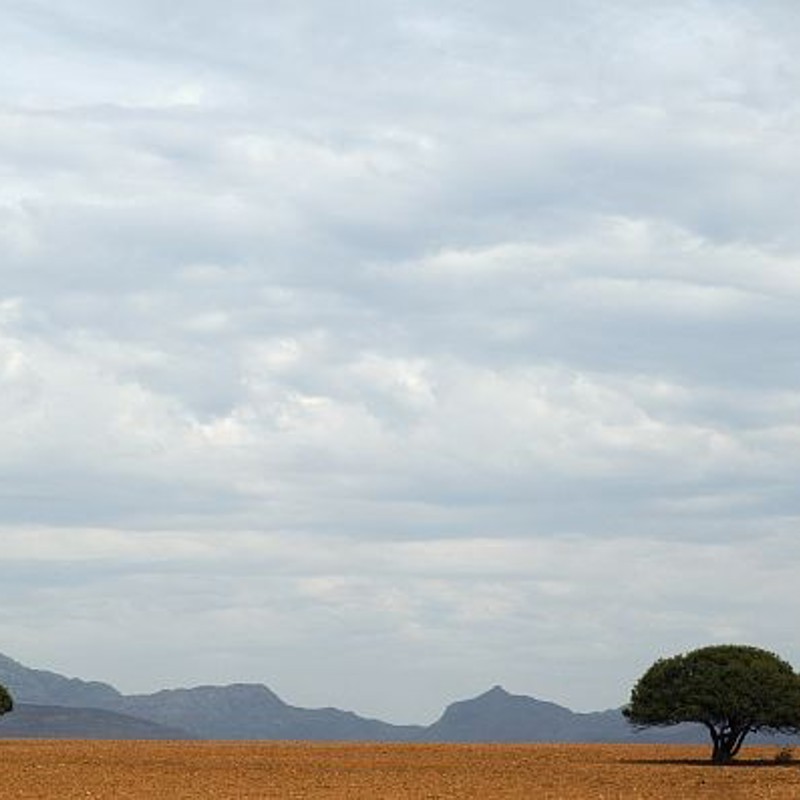 Karoo landskab, Sydafrika