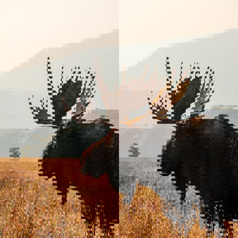 cora-leach-kowlD5rb9wE-unsplash