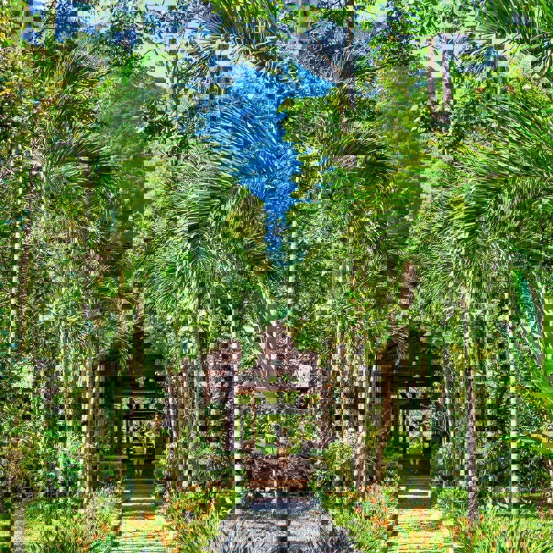 The-Lodge-Spa-At-Pico-Bonito_Jeox-Photography-32