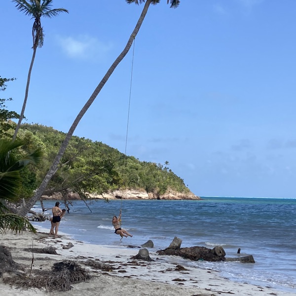 Strand med palmer på Providencia