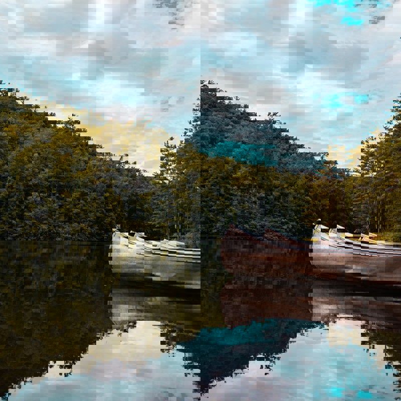 aaron-burden-1iCZ5IEqA-U-unsplash