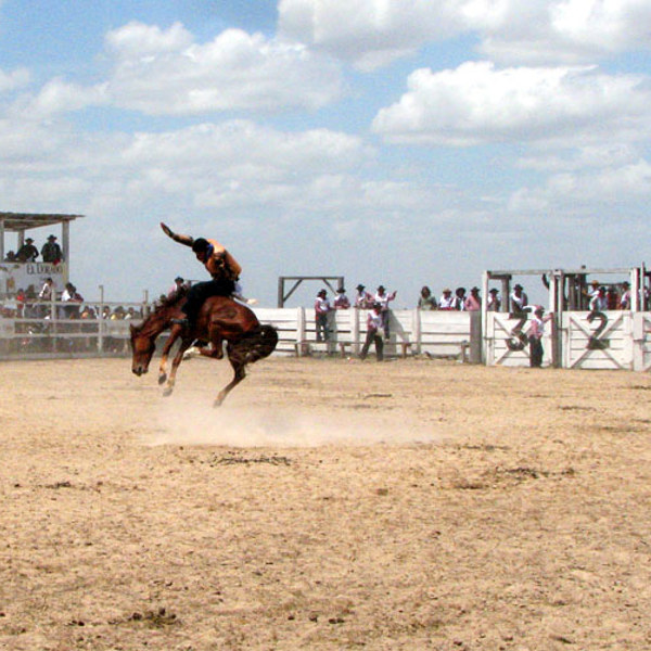 Rodeo