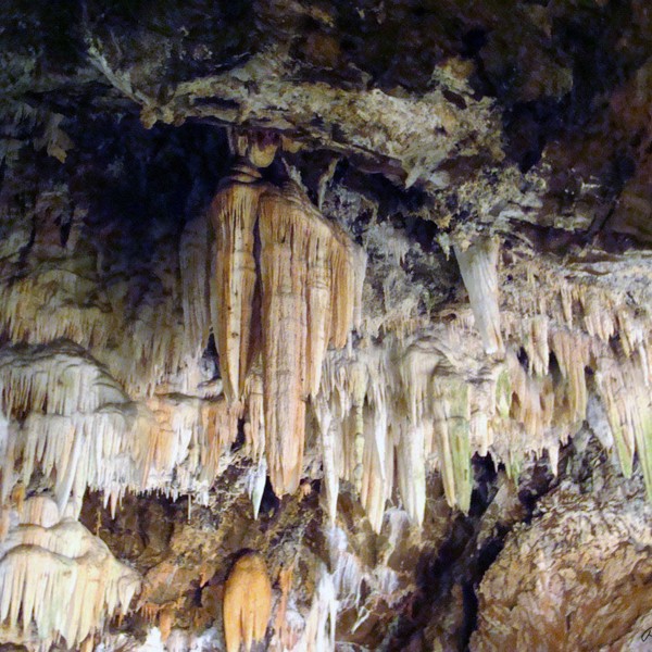 Maravillas hulerne i Den Dominikanske Republik