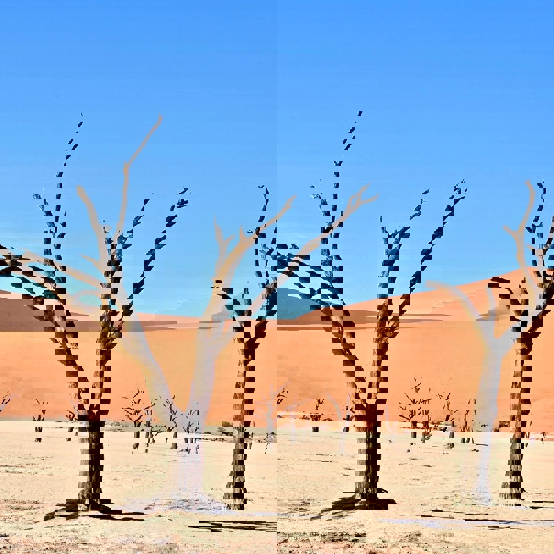 parsing-eye-WP9GFwbVur0-unsplash