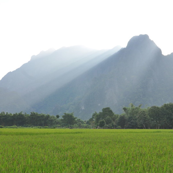 Grønne marker med bjerge i baggrunden, Vang Vieng