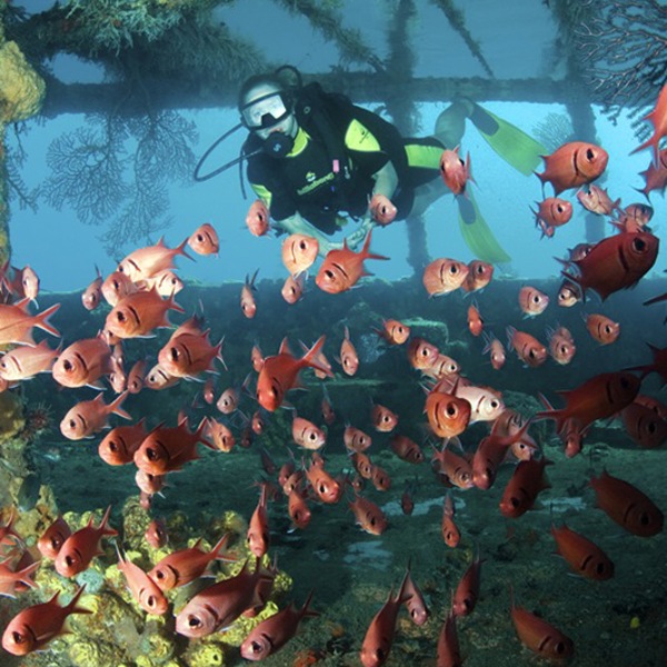 Dykning på St. Lucia