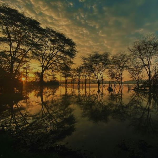 lake naivasha, unsplash