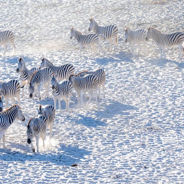 Botswana - Makgadikgadi