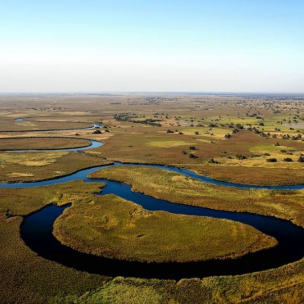 Okavango river i Botswana