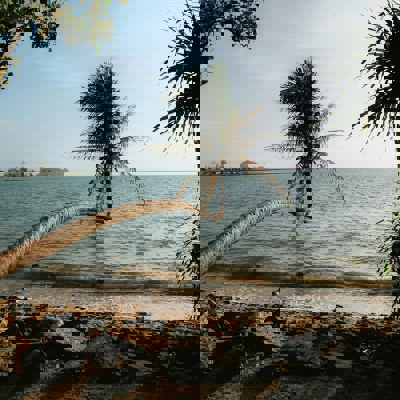 johannes-kopf-PiI5kUwt9NI-unsplash