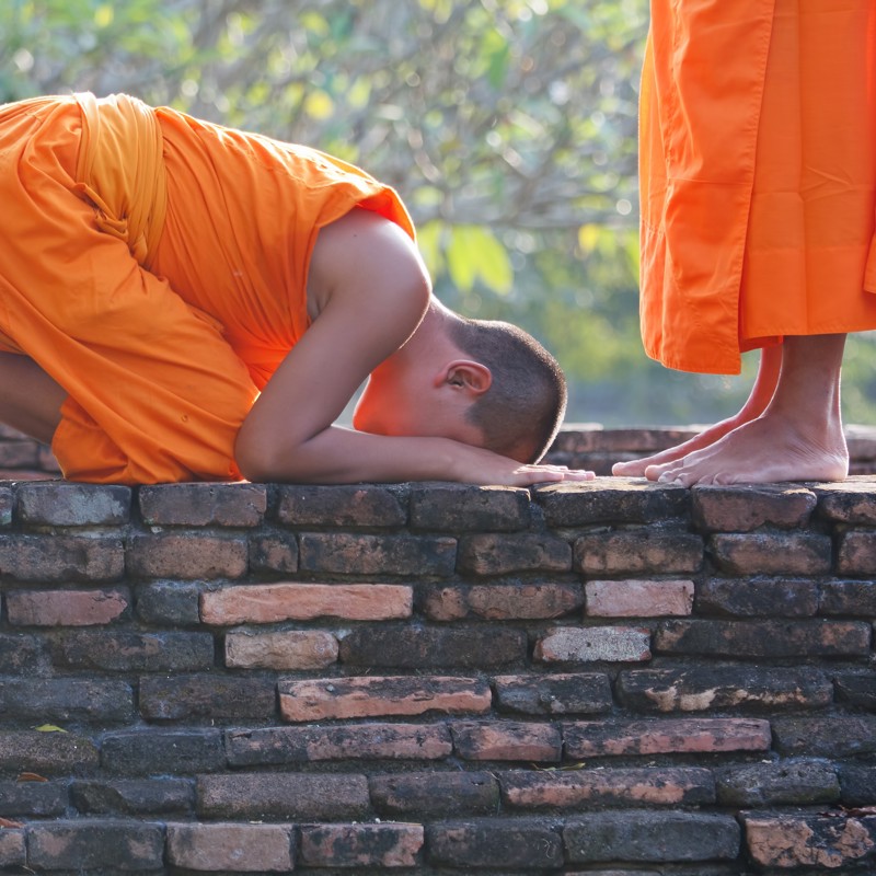 Unge munke, Thailand