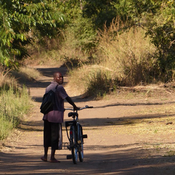 South Luangwa, Zambia