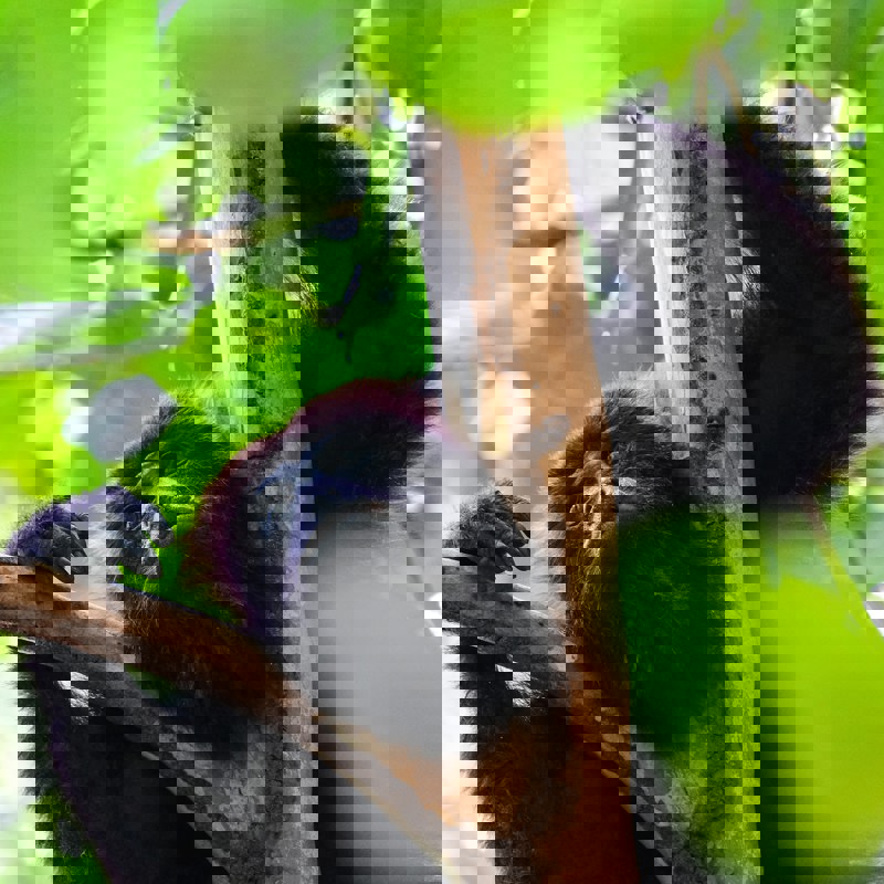 dimitry-b-3GsHYJFe-qI-unsplash